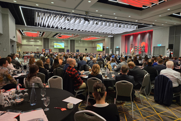 2025 Connex Gallery (2)